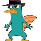 Dawid Rząsa - awatar