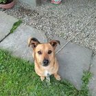 Patryk Bogdan - awatar