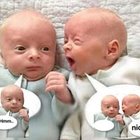 Dobrosława Greenspan-Vertov - awatar