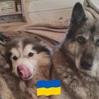 Katarzyna Załoga - awatar