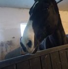 Natalia Zajkowska - awatar