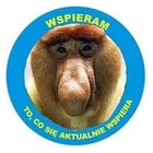 Daniel Kochanski - awatar