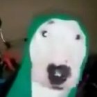 Aleksander Przybylski - awatar