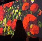 Kasia Kołodziejczyk - awatar