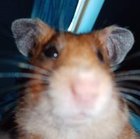 Kuba Krawczyk - awatar