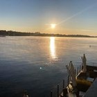 Marek Janusz - awatar