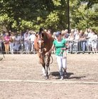 Anna Akacka - awatar