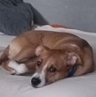 Tomek Sądel - awatar