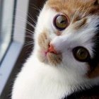 Małgorzata Taraszkiewicz - awatar