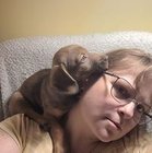 Małgorzata Kuś - awatar