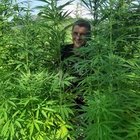 Andrzej Michalski - awatar