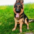 Kamil Kowalski - awatar