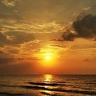 Magdalena Rom-Niew - awatar