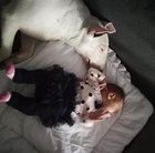 Mariusz Chmielewski - awatar