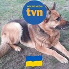 Małgorzata Ciesielska - awatar