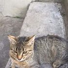 Szymon Borkowski - awatar