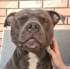 Dawid Worożański - awatar