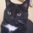 Ewa Głowicka - awatar