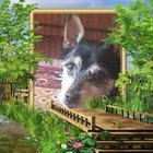 Kostmar Kostmar - awatar