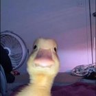 Kacper Marchlewski - awatar