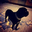 Remigiusz Mk - awatar