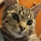 Mateusz Jaworski - awatar