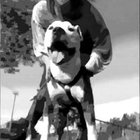 Natasha Wrzesińska - awatar