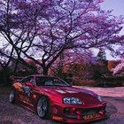 Vardan Ghazaryan - awatar