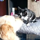 Agnieszka Galimowska - awatar