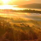 Anna Wolszlegier - awatar