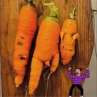 Wiktor Budzikowski - awatar