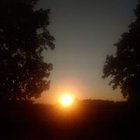 Bartlomiej Kubas-Saba - awatar