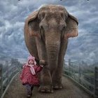 Tomasz Tomalski - awatar