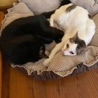 Elżbieta Kosińska - awatar