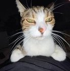 Zuza Kiełkowska - awatar