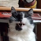 Alicja Żychowicz Grabowska - awatar