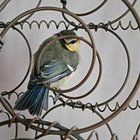 Edyta Edyta - awatar