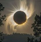 Renata Kowalewska - awatar