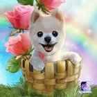 Milena Grzymisławska - awatar