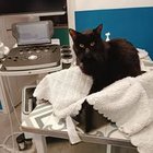 Kamila Benka - awatar