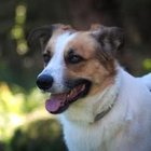 Kubuś Niuniek - awatar