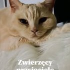 Grazyna Widera - awatar