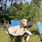 Natalia Tulicka - awatar