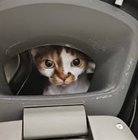 Mati Dąbrowski - awatar