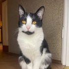 Małgorzata Śliwa - awatar