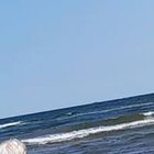 Magdalena Białkowska - awatar