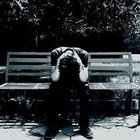 Wojciech Lewa - awatar