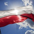 Krzysiek Włoś - awatar