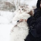 Sylwia Barczak - awatar