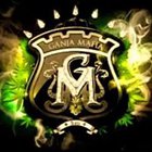 Maciek Modrzewski - awatar